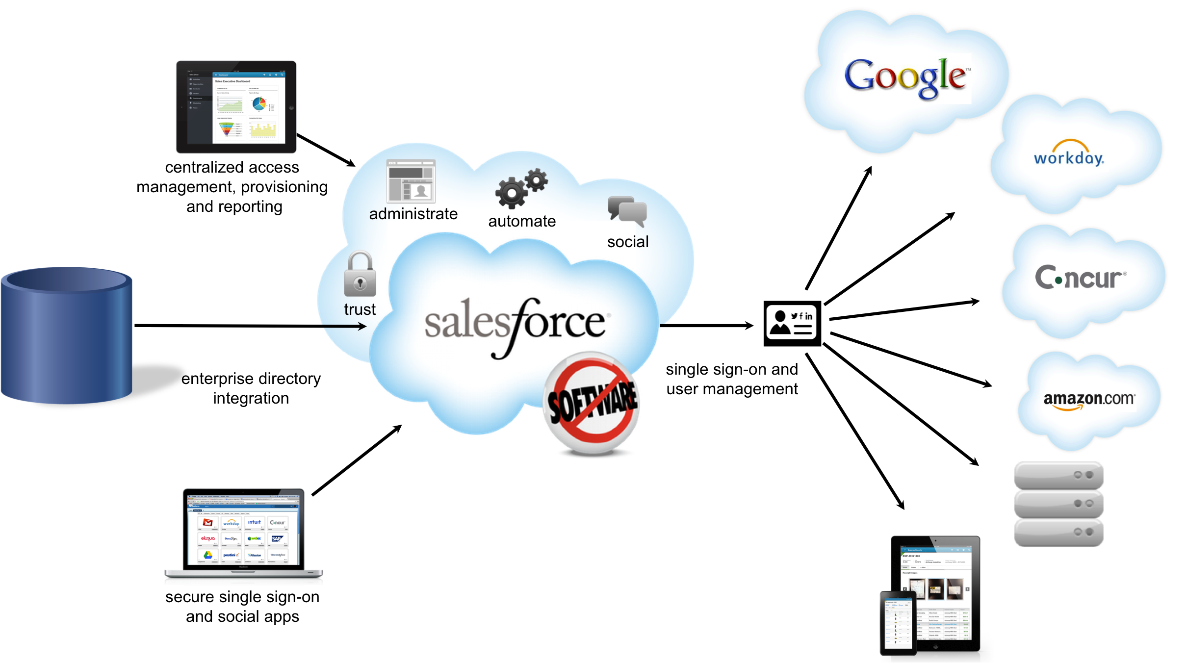 Salesforce Developer