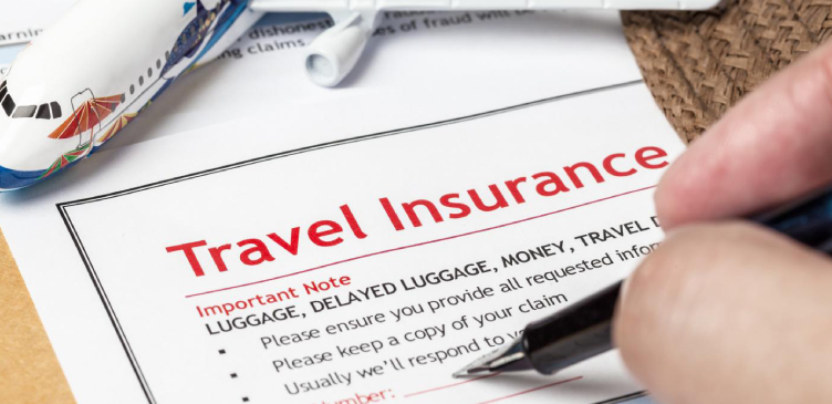 Image showing a person point out a point in a travel insurance papers.